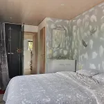 Tinyhouses - Domain 