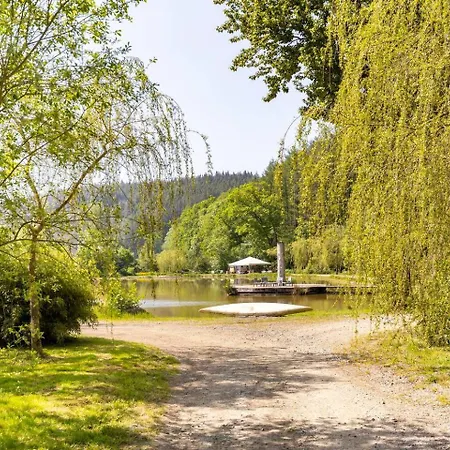 Lodge Tinyhouses - Domain 