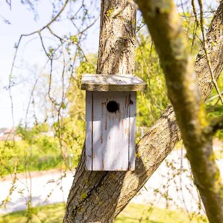 Tinyhouses - Domain 