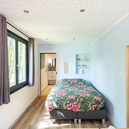 Tinyhouses - Domain 